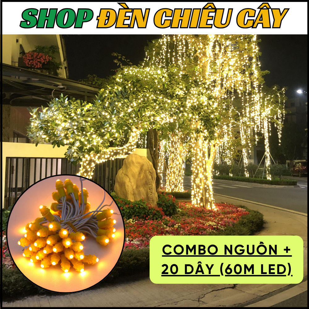 Thi công 60m led đúc F5 quấn thân phủ cành - Ảnh 6