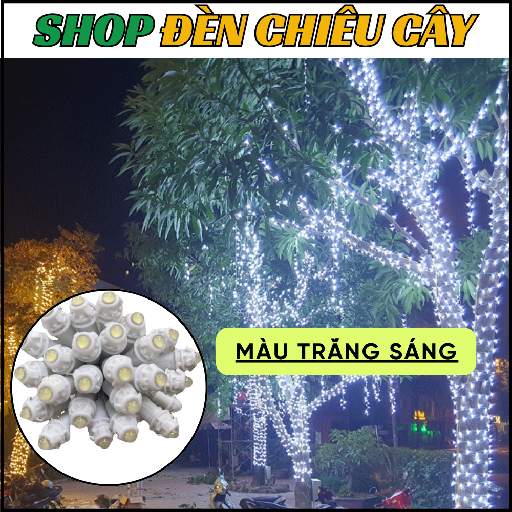 Thi công 60m led đúc F5 quấn thân phủ cành - Ảnh 5