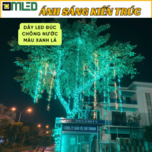 Combo Led Đúc F5 đế 9mm Xanh Lá sẵn Nguồn