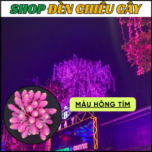 Combo Led Đúc F5 đế 9mm Hồng Tím sẵn Nguồn