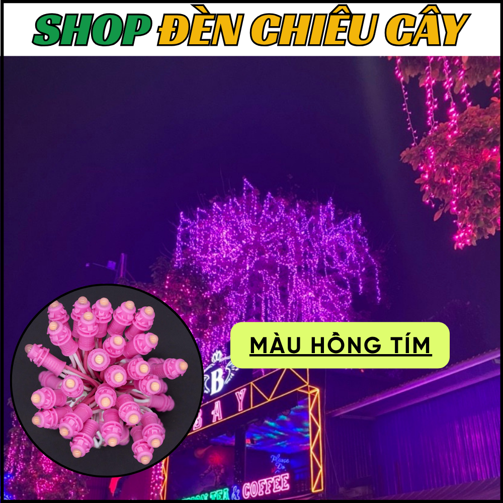 60 Mét Dây Led Quấn Cây Sẵn Nguồn - 20 Dây F5, Nguồn 12V - Ảnh 8