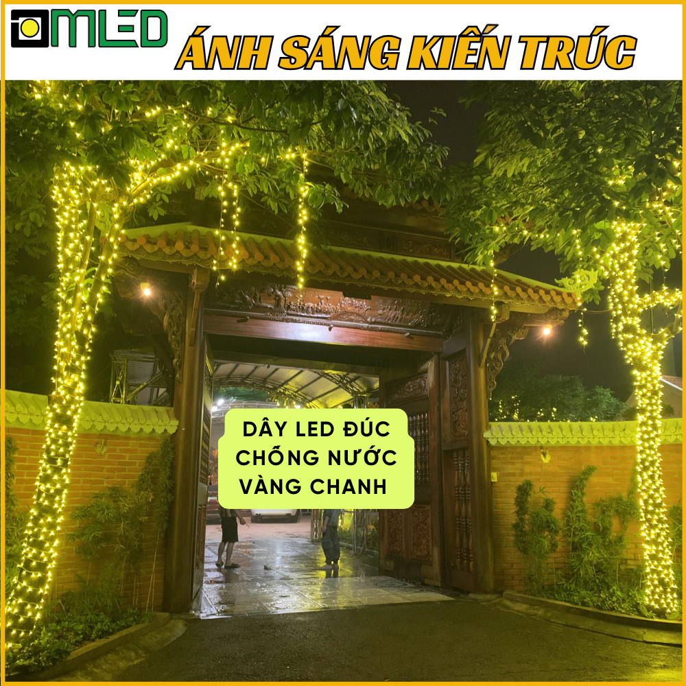 Dây led quấn cây vàng chanh
