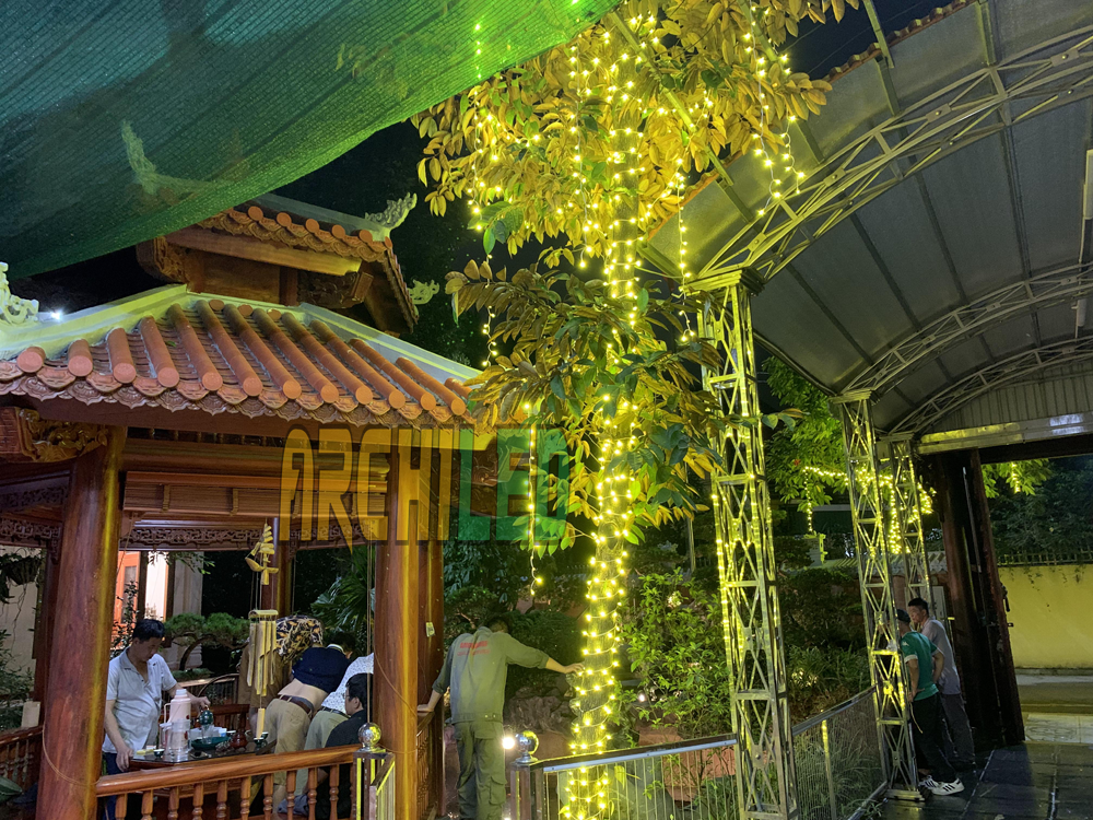Trang trí dây led quấn cây vàng chanh tại Hà Nam