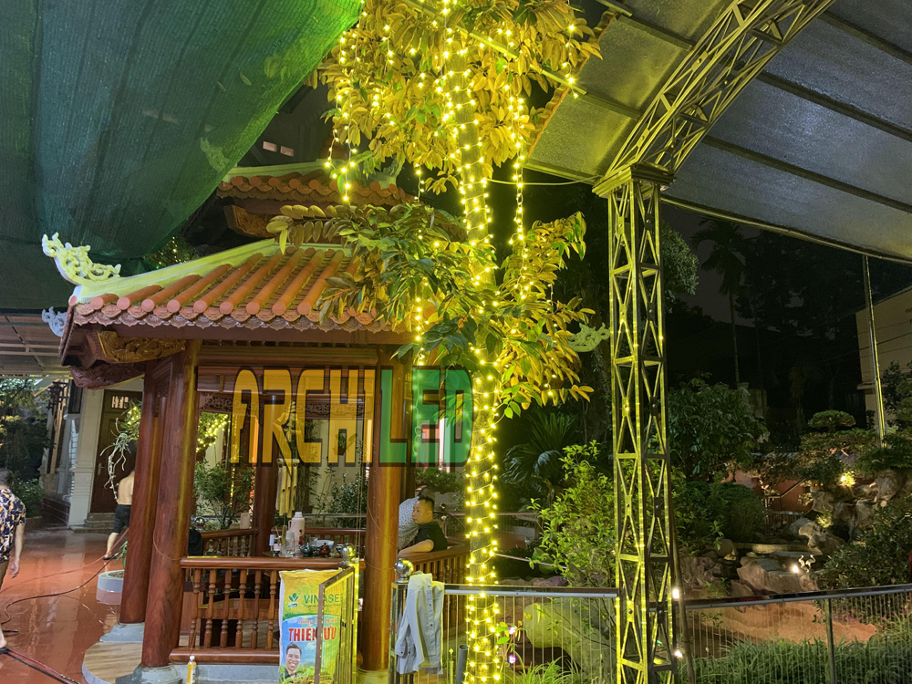 Trang trí dây led quấn cây vàng chanh tại Hà Nam