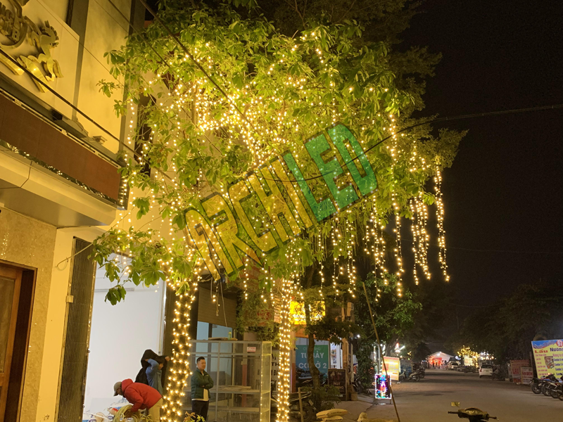 Nhận thi công đèn led quấn cây chuyên nghiệp tại Hà Nội