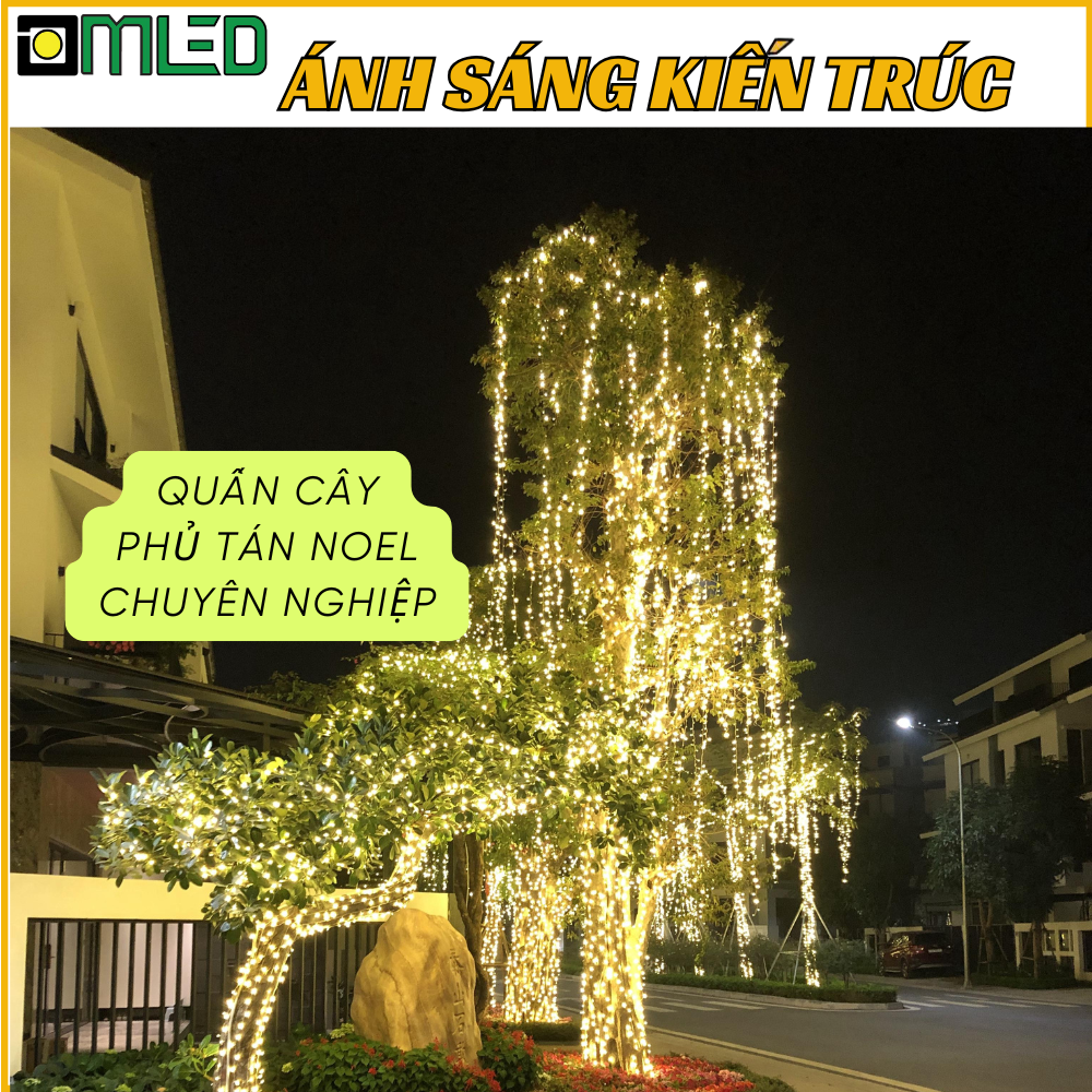 Thi Công Dây Led Quấn Cây Trang Trí Tết Và Noel - Ảnh 2