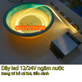 Tư vấn mua dây đèn LED trang trí hồ cá Koi và sân vườn Nhật Bản