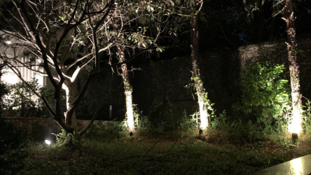 Tại Sao Nên Chọn Đèn Chiếu Cây Năng Lượng Mặt Trời Của Archiled?